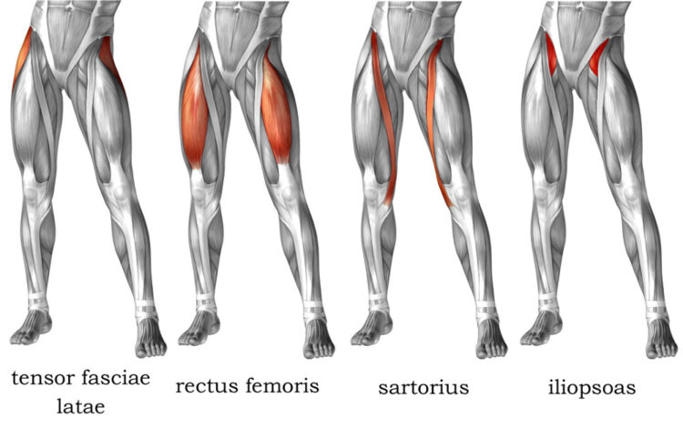 Mike Boyle: Understanding and Training Hip Flexion - On Target Publications