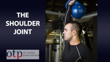 the shoulder joint